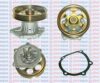 AQUAPLUS 85-5745 Water Pump